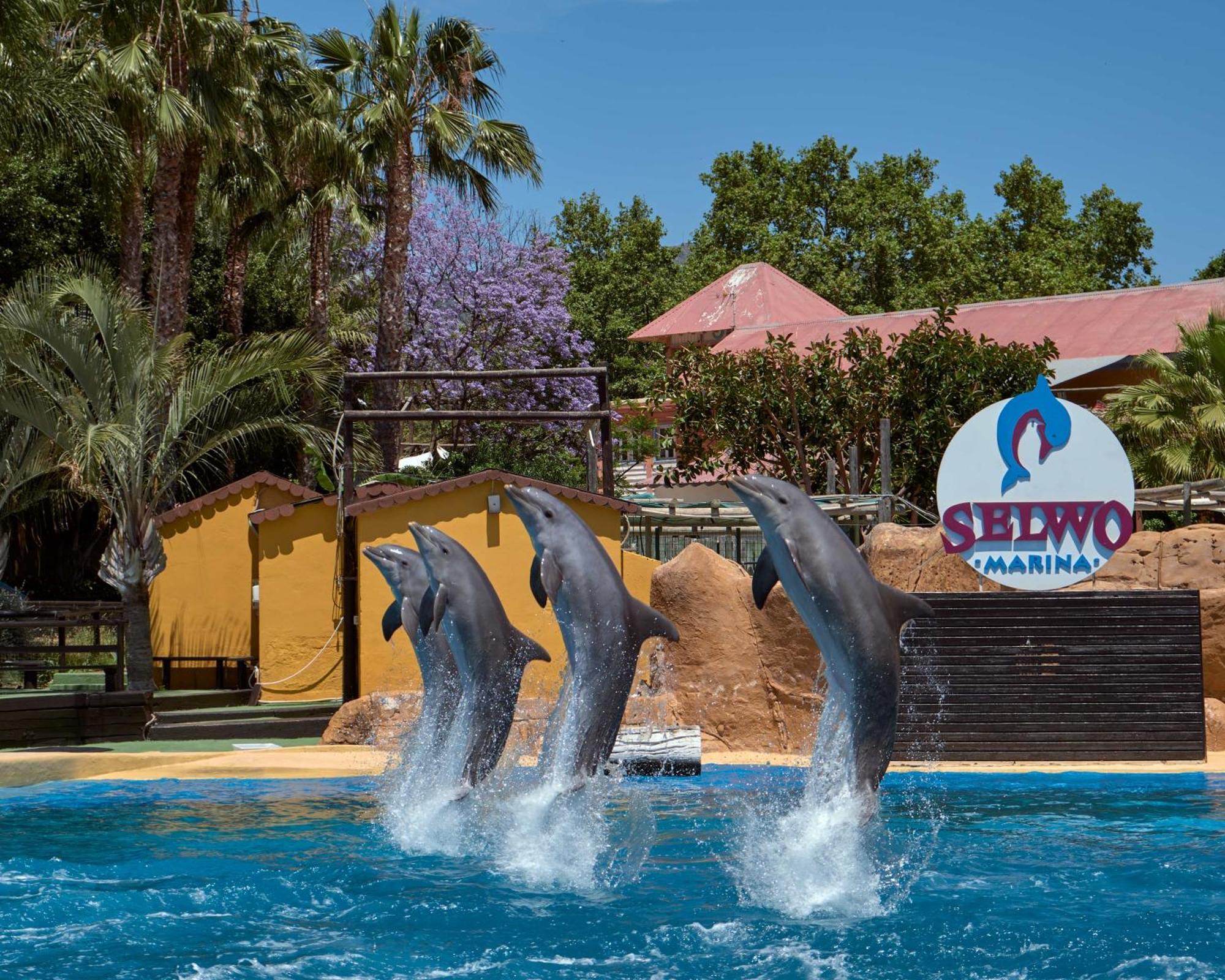 Apart With Swimming Pool Open All Year Benalmádena Zewnętrze zdjęcie